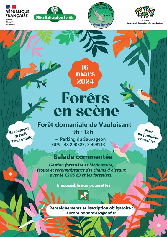balade forêt vauluisant ccvpo